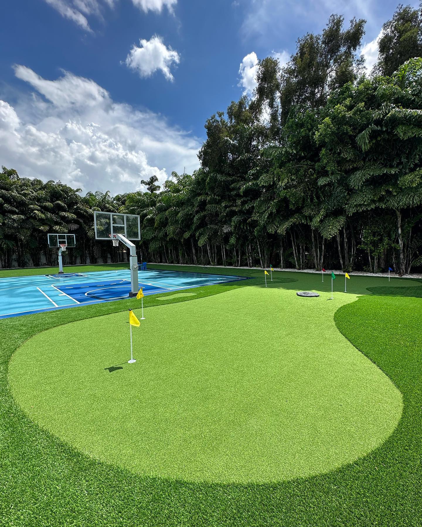 Artificial Turf